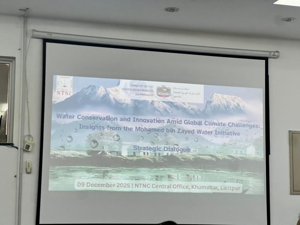 From Problem Statements to Practical Action: A Nepalese Perspective from the UAE